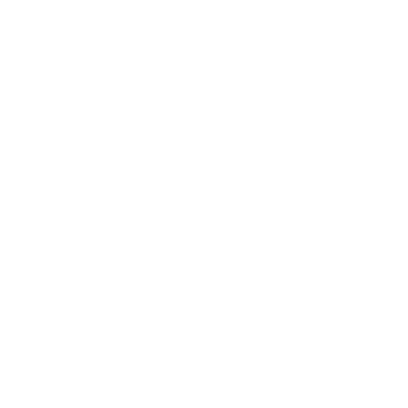 Österreichweite Lieferung